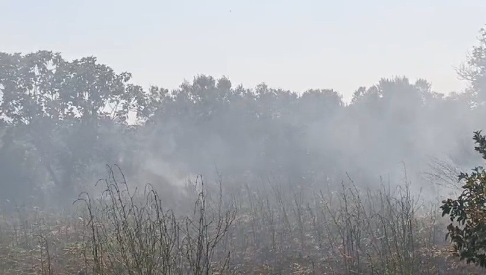 Zjarri djeg dhjetëra dynymë agrume dhe ullishte në Karbunarë, flakët përfshijnë edhe magazinat e fermerëve