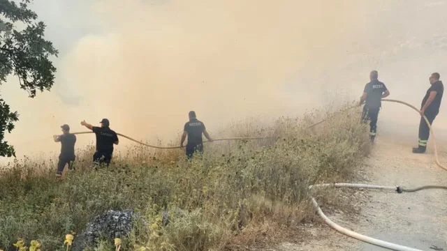 Zjarri në kodrat e Pilurit, rrezikohet edhe zona e Porto Palermos