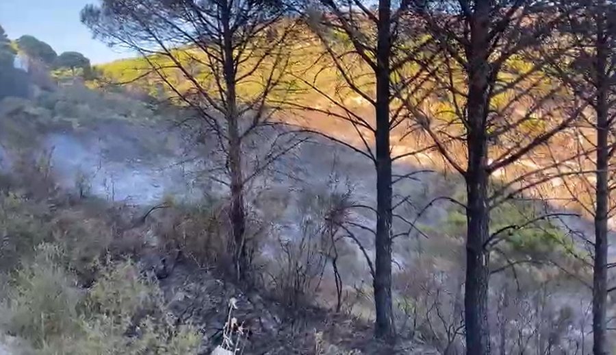 30 forca të ushtrisë i bashkohen operacionit, vatrat e zjarrit në Belishovë të Mallakastrës drejt shuarjes