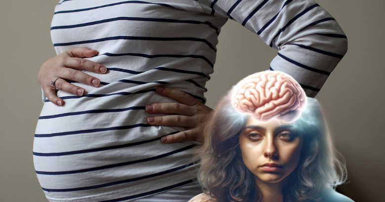 A zvogëlohet truri i grave gjatë shtatzënisë? Zbulimet e reja shkencore