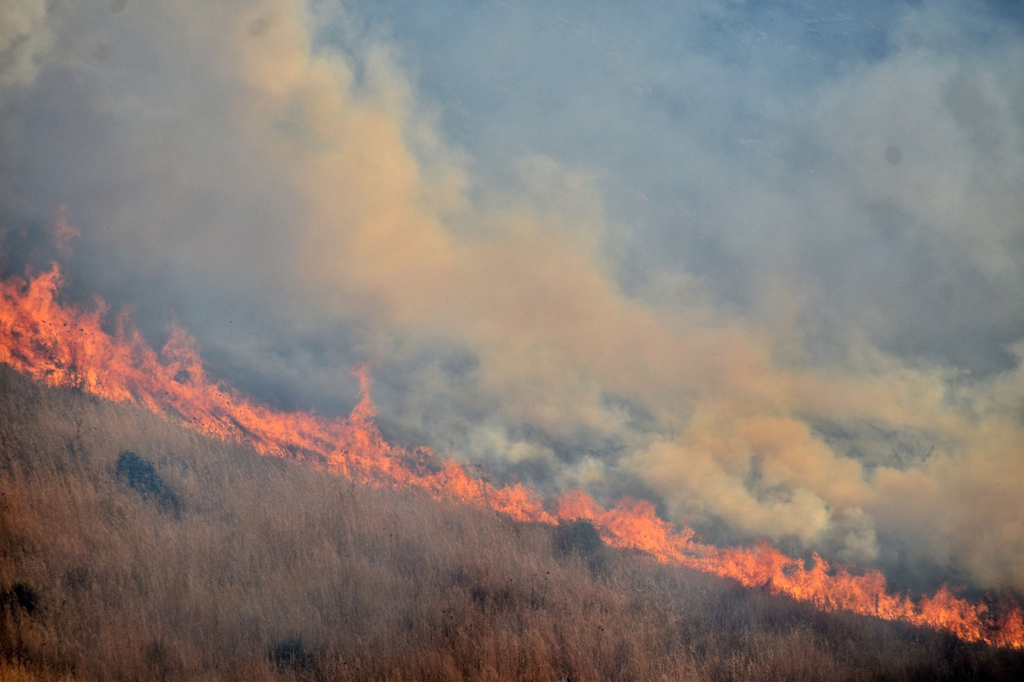 Alarm evakuimi edhe në Konispol, shumë shtëpi rrezikohen nga zjarri