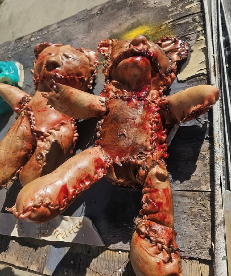 Arush pelushi e bërë nga lëkurë njerëzore? Panik mes banorëve, shakaja që çoi në arrestimin e një personi në Kaliforni