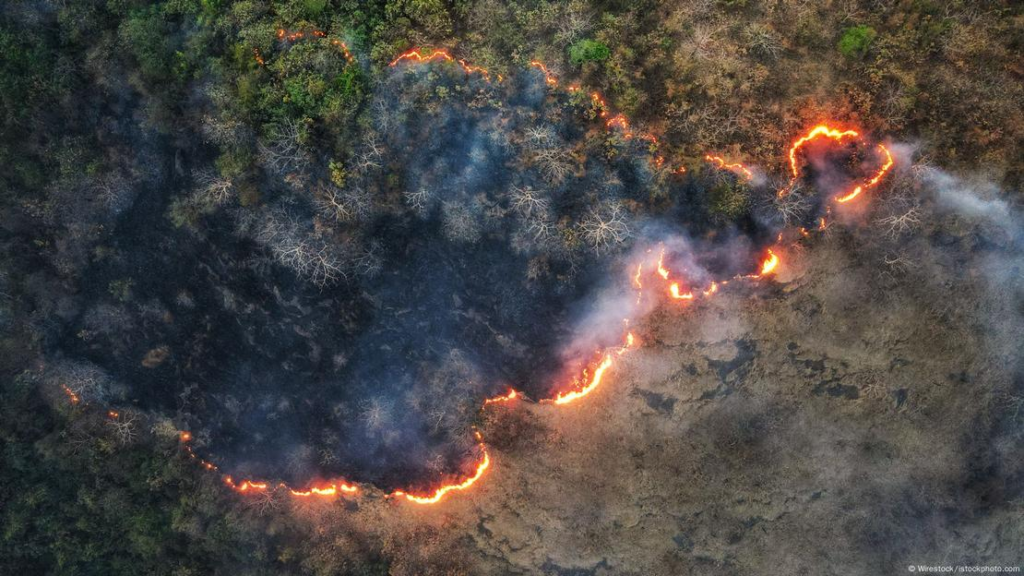 Ballkani/ Mijëra hektarë tokë në flakë, shtëpi të shkrumbuara e njerëz të pastrehë