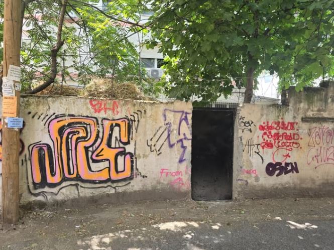 BEN BLUSHI: A DO PRISHET MURI I BERLINIT NË TIRANË