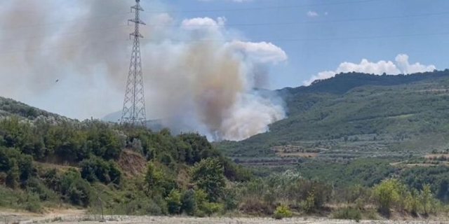 Berati përfshihet nga flakët/ Dy vatra zjarri shkrumbojnë pyje me pisha, njëra nën kontroll