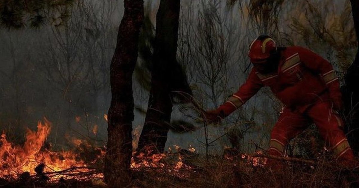 “Beteja” me zjarret në vend! Vijon zjarri në Dukat, në Dishnicë pezullohet ndërhyrja, shkak errësira