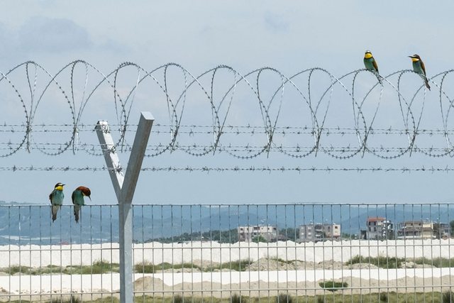 BIRN: PE i kërkon Shqipërisë që të ndalë projektet kontroverse në dëm të mjedisit