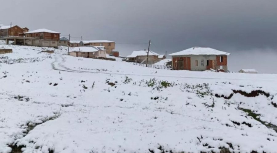 ‘Çmendet’ moti në Turqi, reshje të dendura dëbore në verilindje, zjarre në bregdetin perëndimor