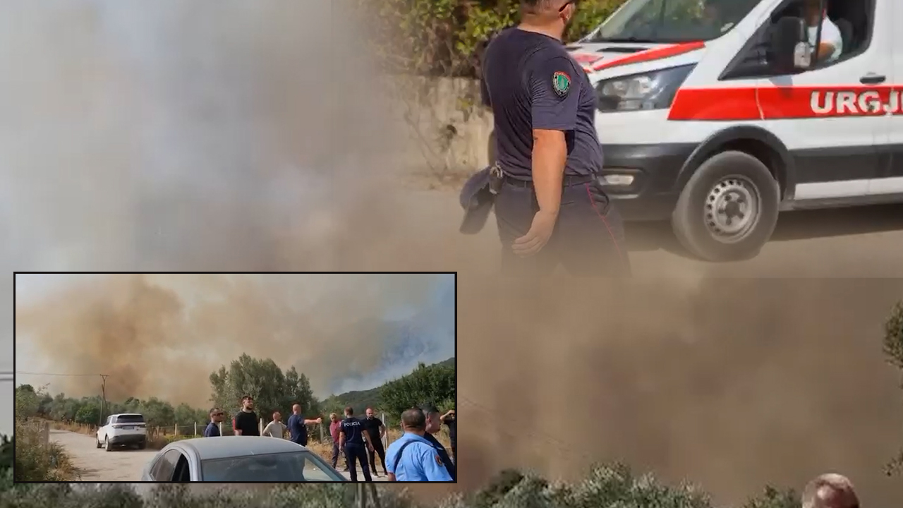 Del jashtë kontrollit zjarri në Senicë. Pëson djegie në trup shefi i komisariatit të Delvinës, asfiksohet një tjetër efektiv