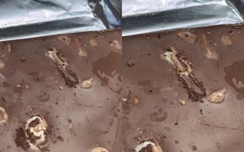 Denoncimi/ Qytetarja blen çokollatë në supermarketin Xhangolli, i del e prishur dhe me krimba