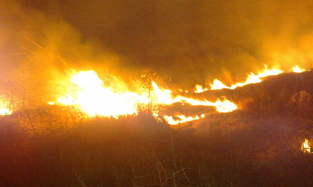 Drejt shuarjes flakët në qarkun e Beratit, problematike situata vetëm në malin e Shpiragut! Dëm i madh në bimësi dhe pemë frutore