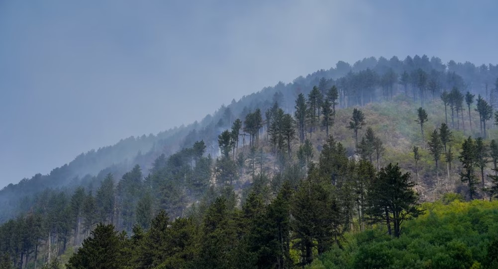 Edhe Kosova “në luftë” me flakët, 29 vatra zjarri në 8 orët e fundit