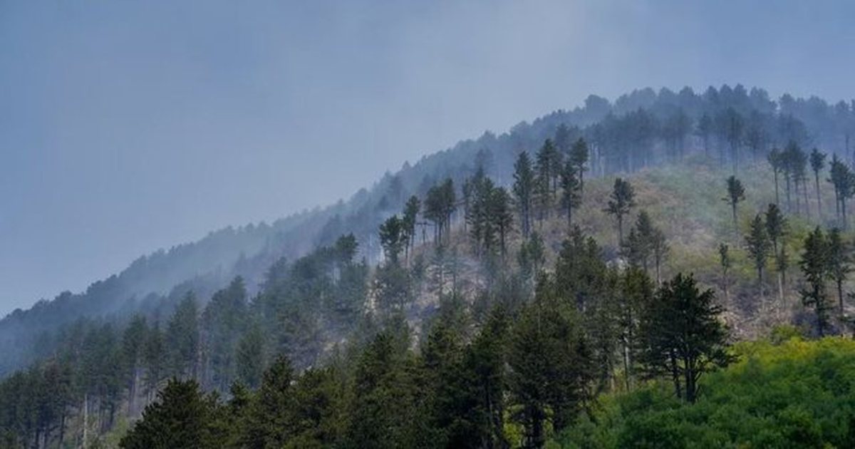 Edhe Kosova nën pushtetin e flakëve, raportohen 29 vatra në tetë orët e fundit