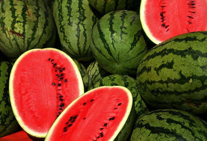 Farat e shalqirit në dietë, zbuloni përfitimet dhe rreziqet shëndetësore