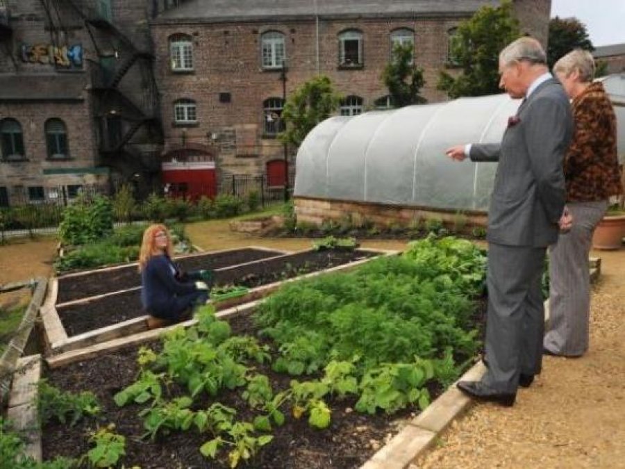 Fiksimi i Mbretit Charles me gjelbërimin ndikon te kopshtarët e tij: Nga 12 të punësuar në pronën e Gloucestershire, 11 janë larguar