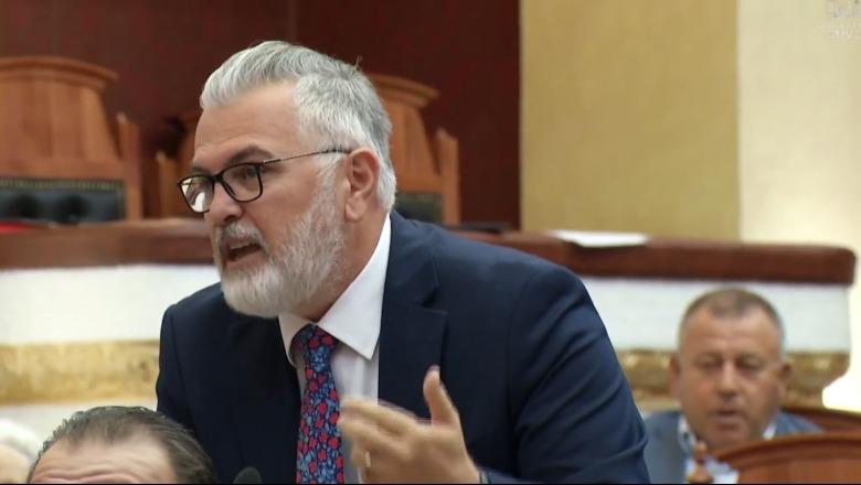 Gogu replikon me Tabakun: E vetmja vjedhje më 11 maj ishte ajo brenda kandidatëve të PD-së, nisi që me Primaret