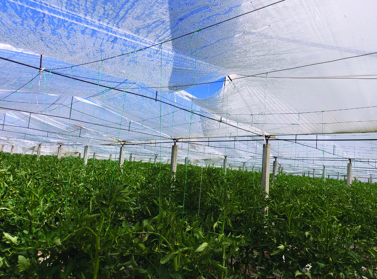 Hapen aplikimet për Skemën Kombëtare të Investimeve 2025, 9 masat mbështetëse