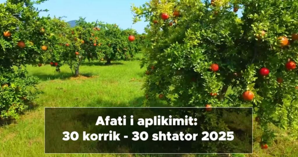 Hapen aplikimet për Skemën Kombëtare të Investimeve. Fermerët, 9 masat mbështetëse