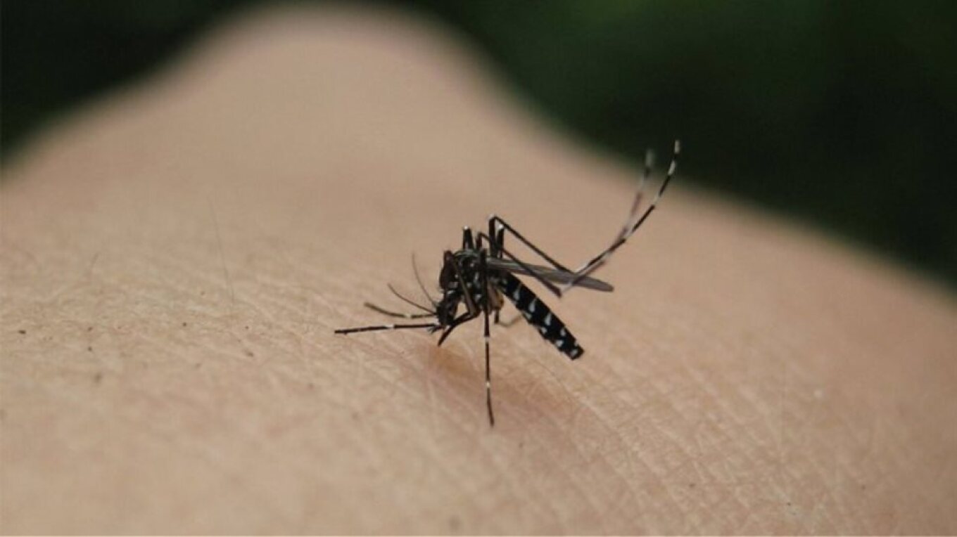 Itali, shkon në 5 numri i të vdekurve nga virusi i Nilit Perëndimor, rreth 28 të infektuar