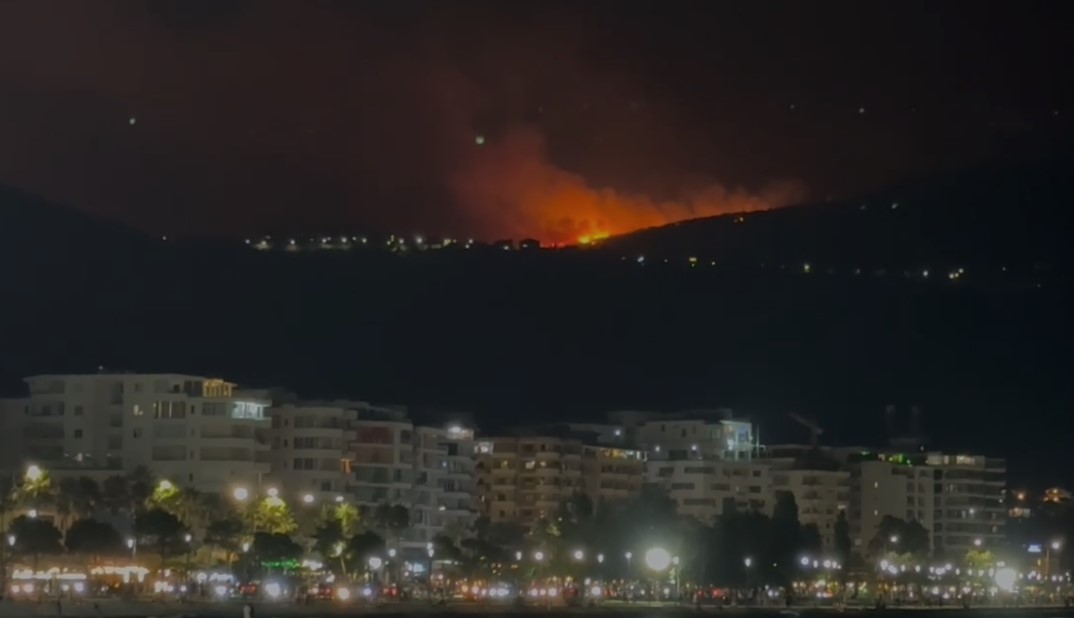 Jugu në flakë, zjarri në Kaninë shumë afër banesave