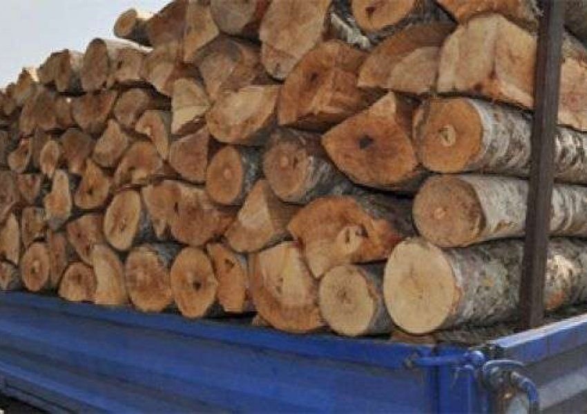Kapet me dru të prera në mënyrë të paligjshme, nën hetim 55-vjeçari nga Tepelena