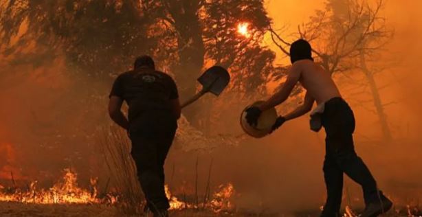 “Kemi zjarrfikës të plagosur, prona të djegura dhe pyje të shkatërruar”/ 44 gradë celcius, vijojnë të përhapen zjarret