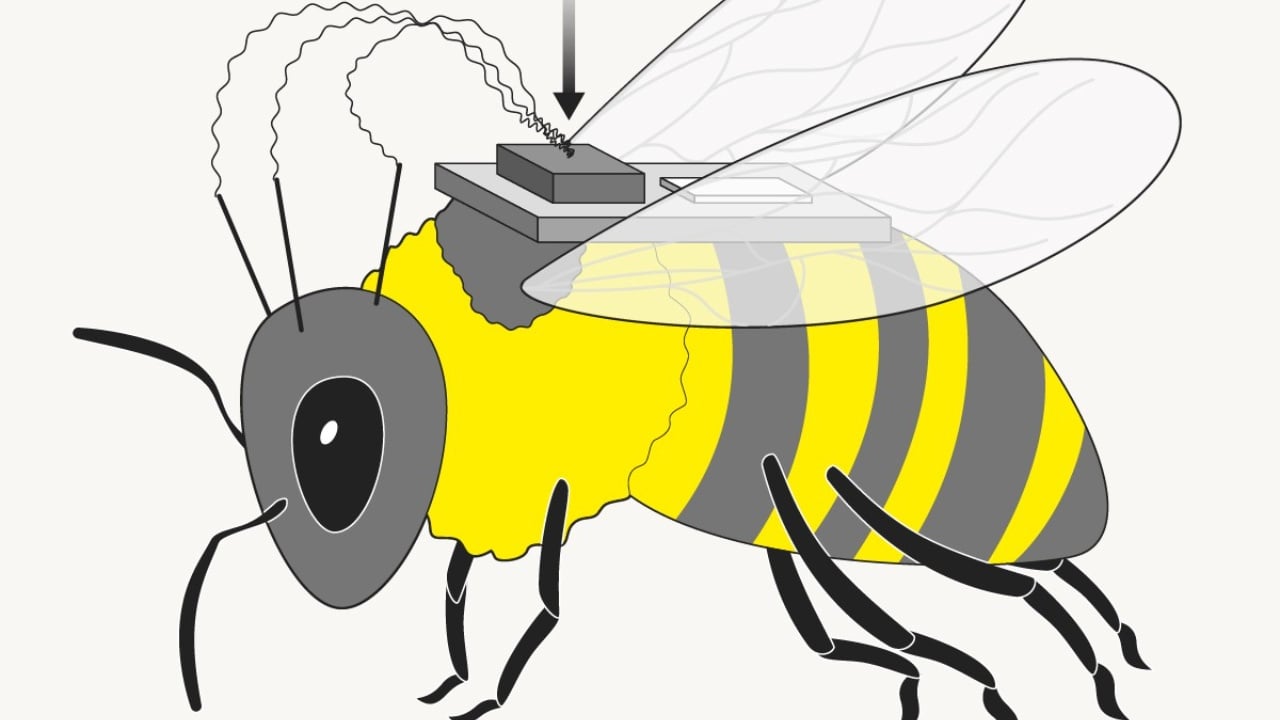 Kina krijon “bletë robotike” për spiunazh