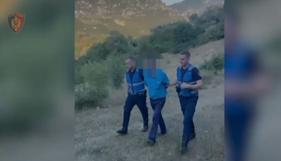 Kishin mbjellë kanabis në mes të fushës, dy të arrestuar në Krujë