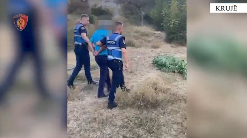 Krujë/ Kultivonin bimë narkotike në fshatrat Krastë dhe Brret, 2 në pranga