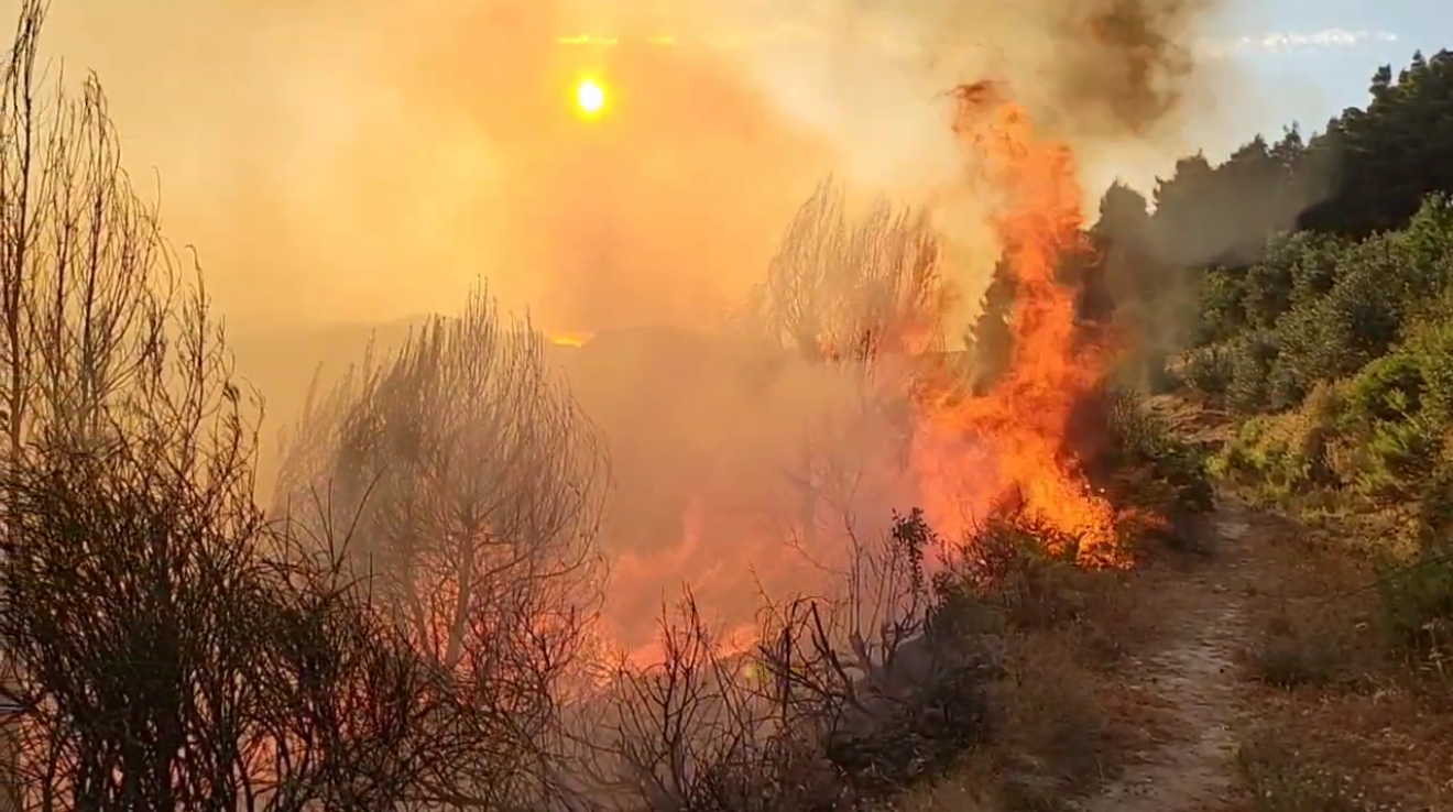 Mallakastër – Zjarr masiv përfshin zonën e Drenovës, rrezikon ullishtet dhe banesat