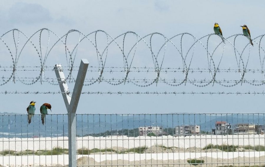 Media Zvicerane ngre alarmin: Aeroporti i Vlorës rrezik për mjedisin e sigurinë ajrore! Rrezikon dhe anëtarësimin e Shqipërisë në BE