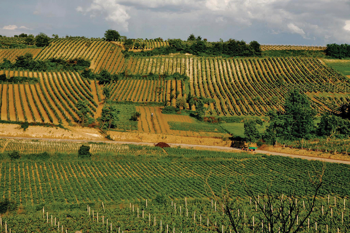 “Misioni i pamundur” i kreditimit të bujqësisë