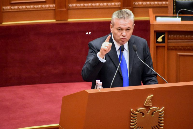 Murrizi për krerët e PD: Delirantët që bëjnë ciu-ciu e mjau-mjau në Facebook, kurse në mbledhje rrinë si të dh*erë