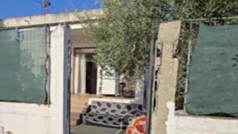 Ngjarja në Fier/ Pas vrasjes, e dëmtuan edhe në pjesët intime, bashkëpunëtore e ëma e 26-vjeçares