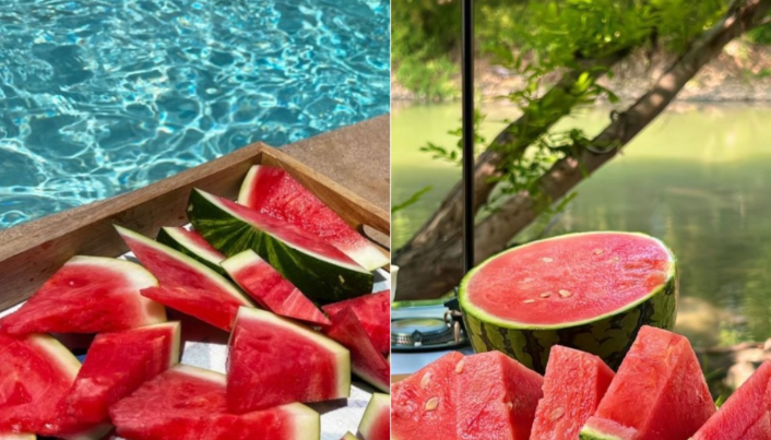 Një nga frutat më hidratues, si ndikon shalqiri në zemër dhe enët e gjakut