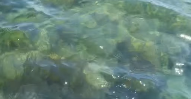 Pamje nga Parku Arkeologjik Nënujor i Durrësit