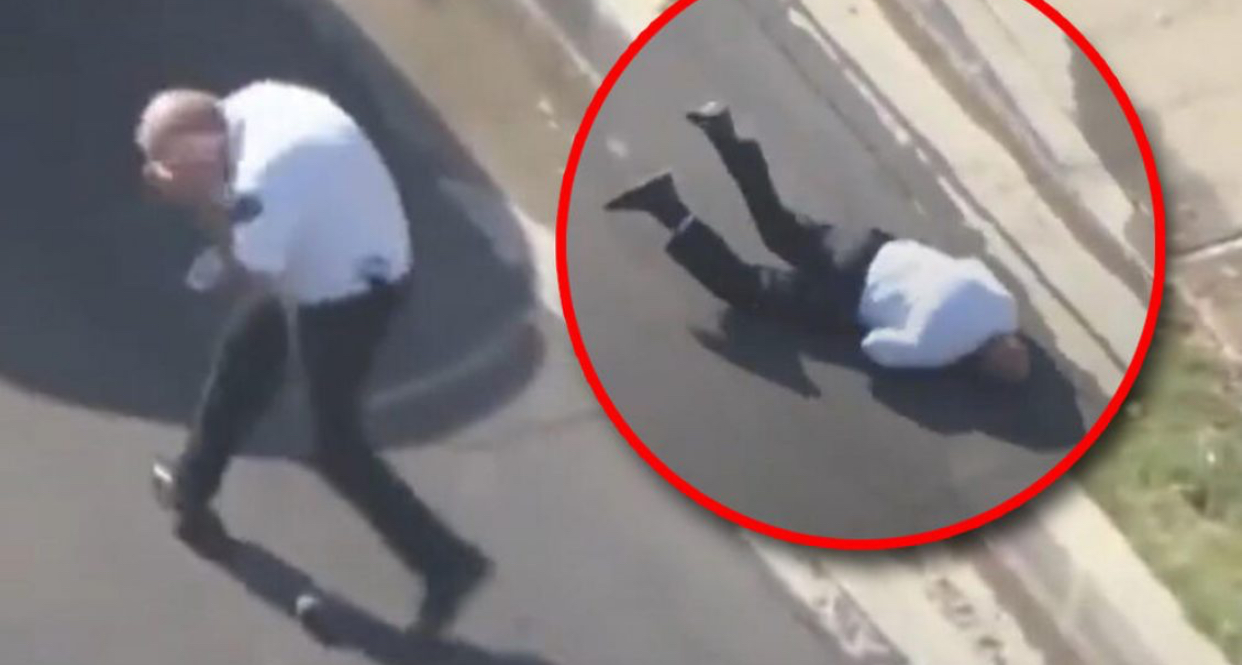 Panik në qytet! Tufa e bletëve sulmon kalimtarët, 24 të lënduar, tre prej tyre në gjendje kritike