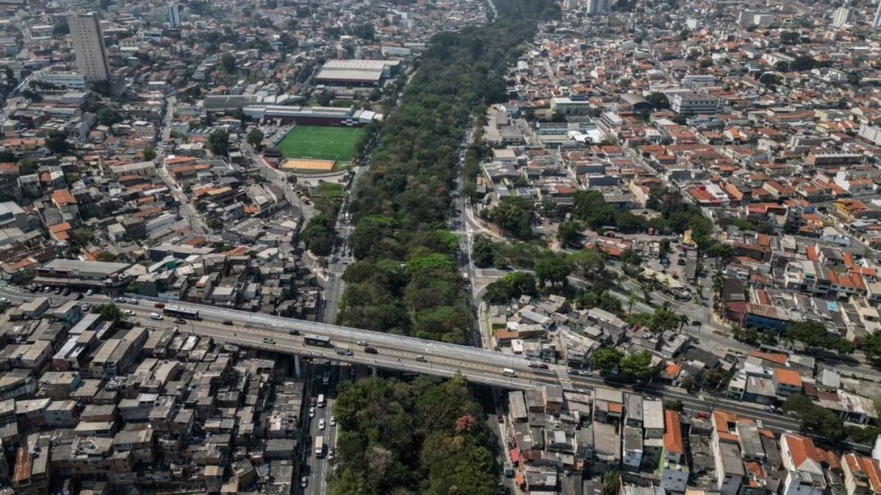 Për dy dekada ka mbjellë mbi 41 mijë pemë në parkun e Sao Paulos, historia domethënëse e Helio da Silvas