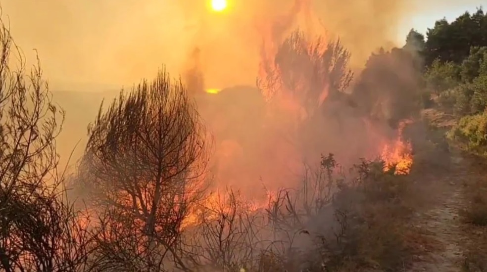 Përkeqësohet situata me zjarret në Parkun Kombëtar të Lurës, kërkohet ndërhyrja nga ajri