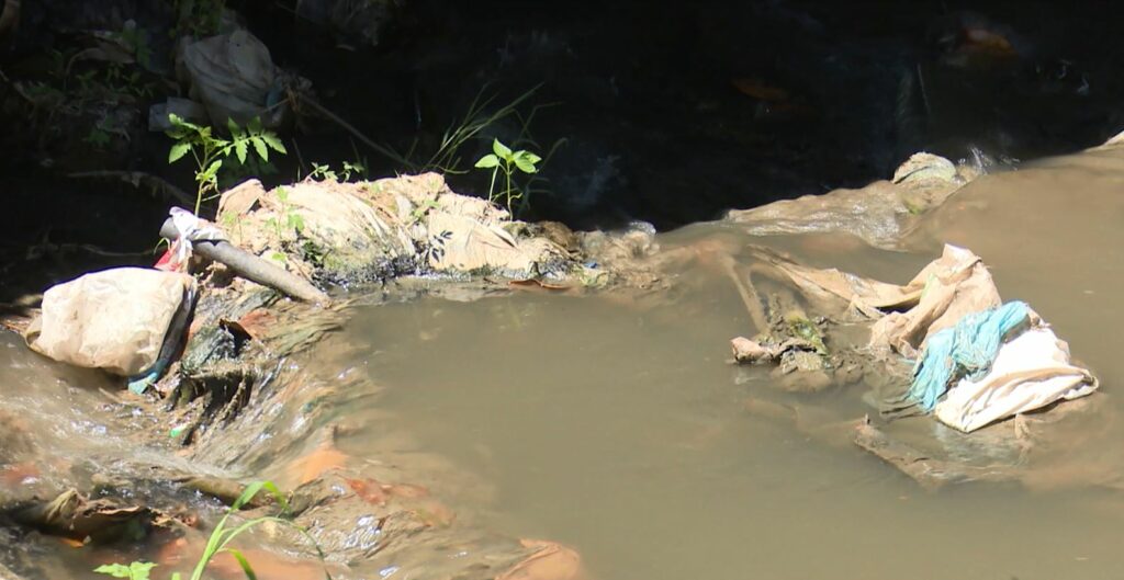 Plot plehra dhe minj, ndotja e lumit Lana në nivele alarmante