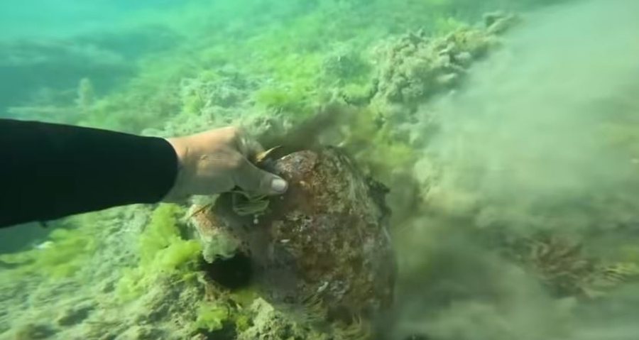 Rama ndan pamjet e Parkut Arkeologjik Nënujor të Durrësit: Çdo amforë rrëfen një kujtim të lashtë