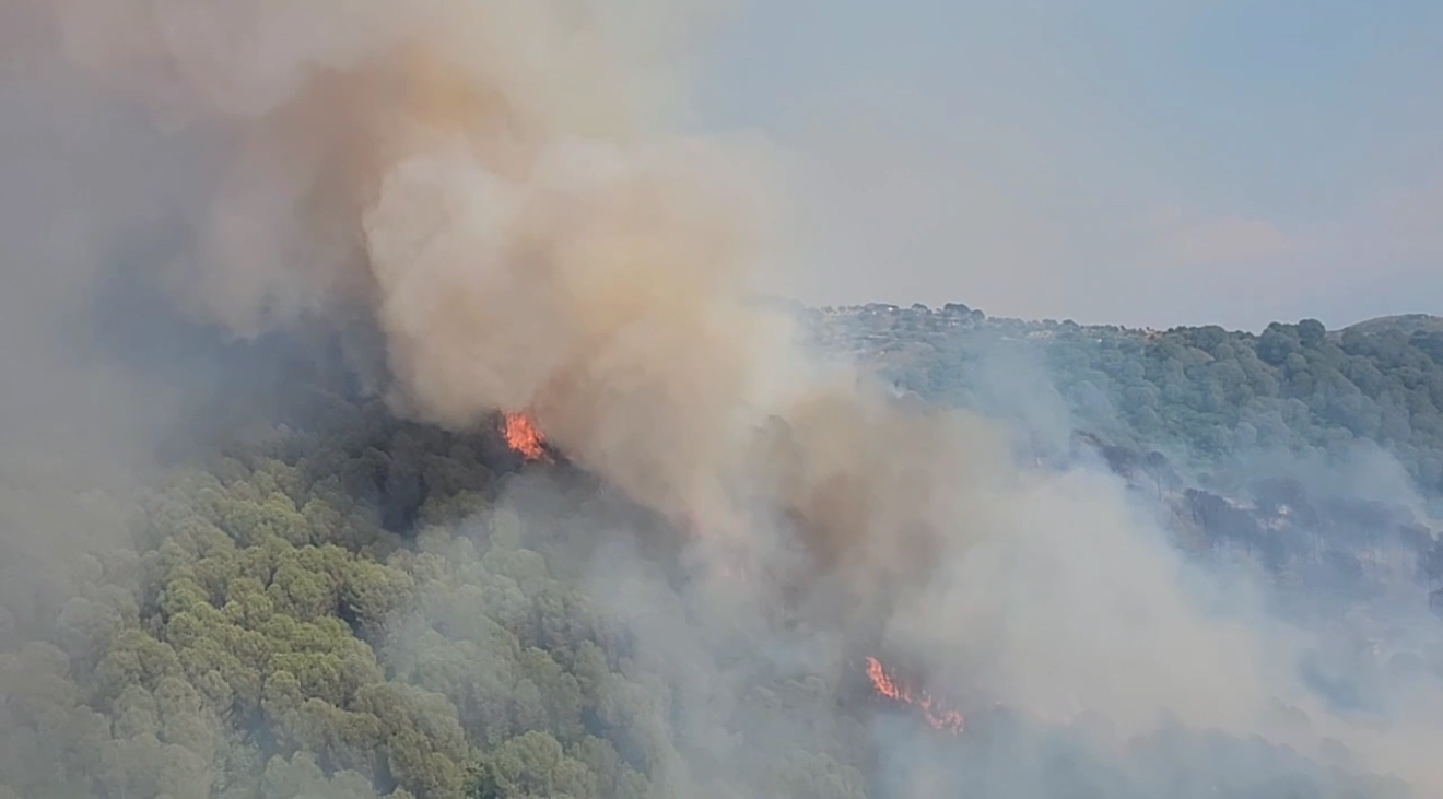 Riaktivizohet zjarri në pyjet e Drenovës, flakët përhapen me shpejtësi – zjarrfikësit përballen me terren të vështirë