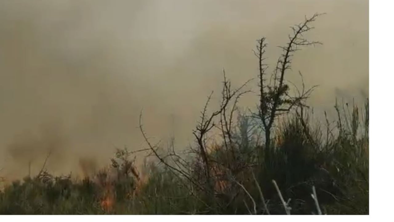 Sërish zjarr në fshatin Dukat i Ri, flakët e favorizuara nga era u afrohen banesave, shërbimet zjarrfikëse në terren
