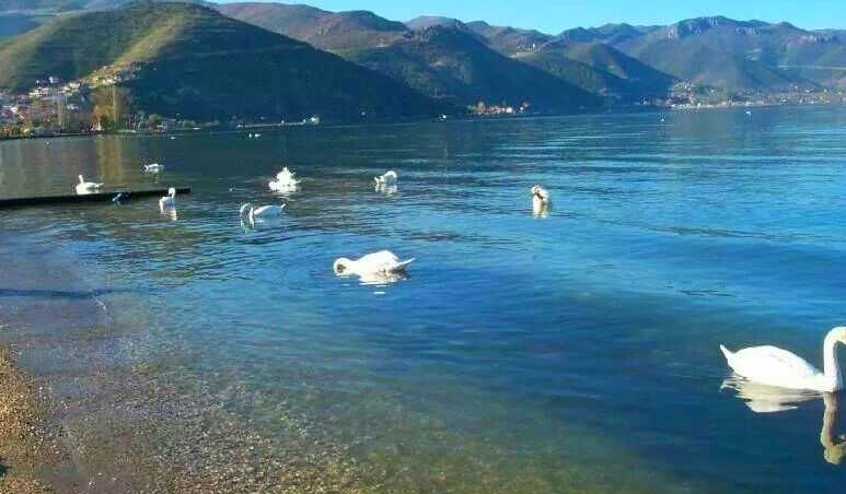 Shuplakë për qeverinë! Ndërtimet pa kriter, UNESCO shpall pasuri në rrezik liqenin e Ohrit
