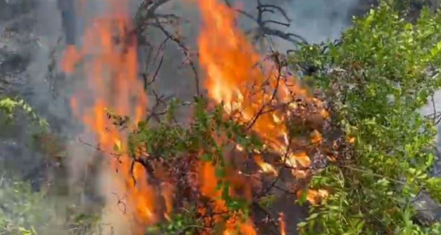Situata e zjarreve/ Ja zonat me vatra aktive në të gjithë vendin