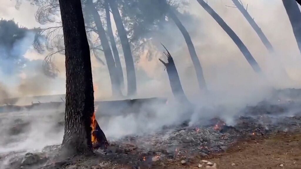 Situata e zjarreve në vend, MM: Janë raportuar 18 vatra zjarri, tetë ende aktive