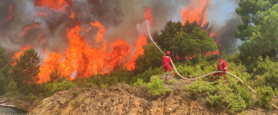 Situata me zjarret/ Ministria e Mbrojtjes: 37 vatra të raportuara në 24 orë, 4 ende aktive