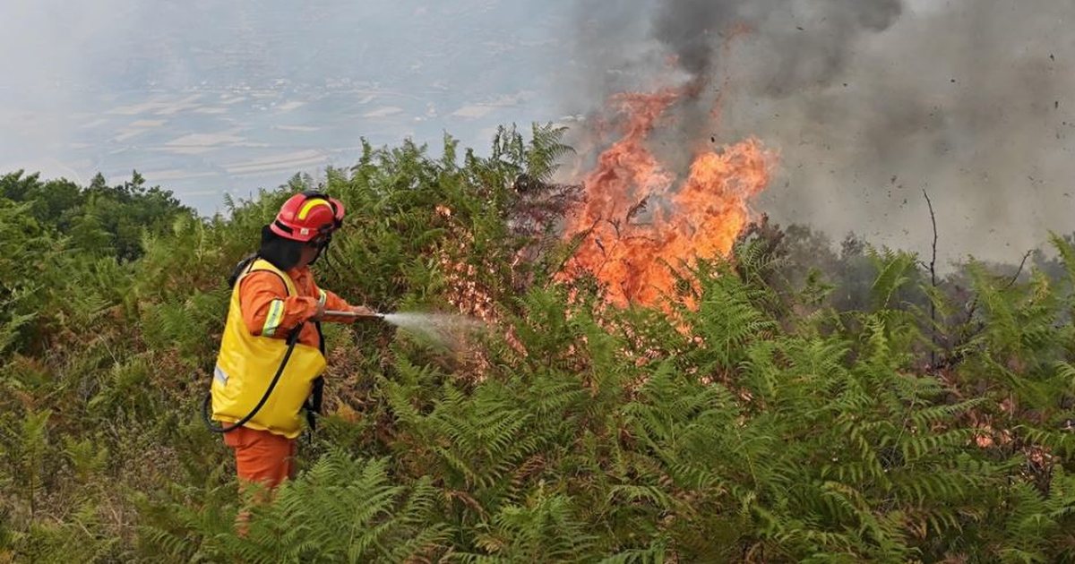 Situata me zjarret në vend/ 4 vatra aktive nga 37, këto janë qytetet me nivel më të lartë rreziku