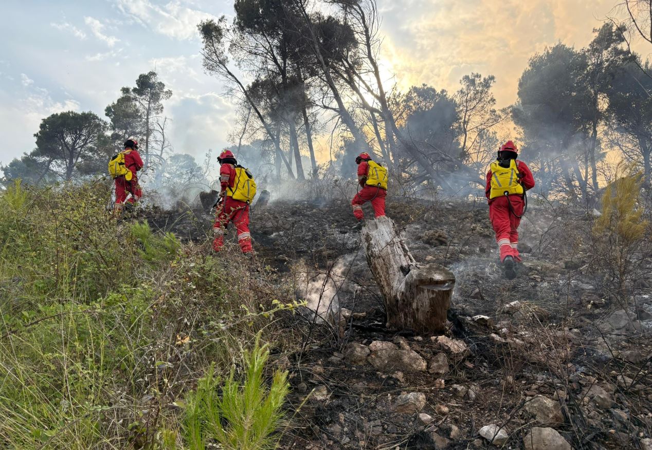 Situata me zjarret në vend, Ministria e Mbrojtjes: U raportuan 24 vatra zjarri