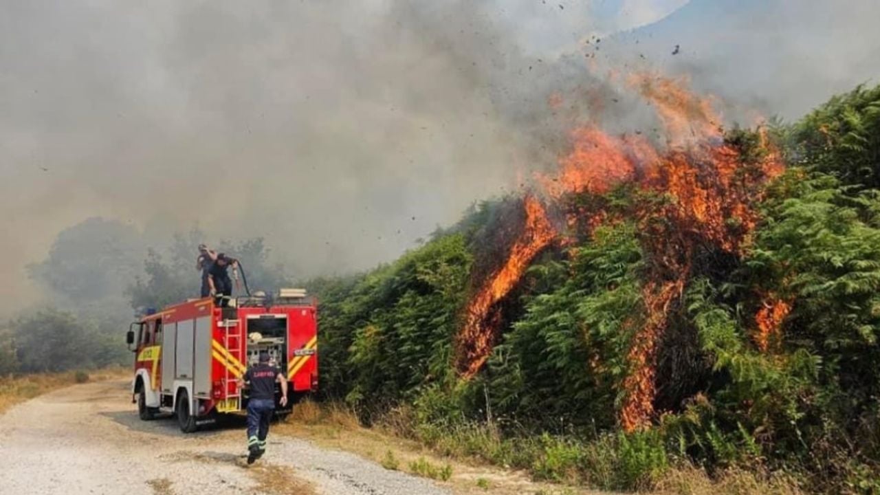 Situata me zjarret në vend/ Nivel i lartë rreziku në Fier, një vatër aktive në Skrapar! Qindra hektarë pyje të shkrumbuara në Klos, Mat, Dibër e Bulqizë